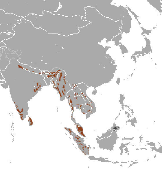 карта ареал азиатских слонов