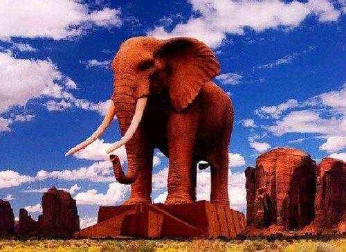 самый большой слон в мире