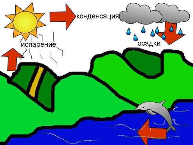 схема круговорота воды в природе.