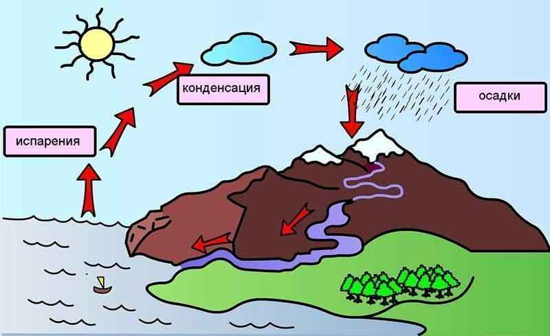 схема воды в природе