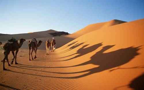 чудеса природы - Пустыня Сахара