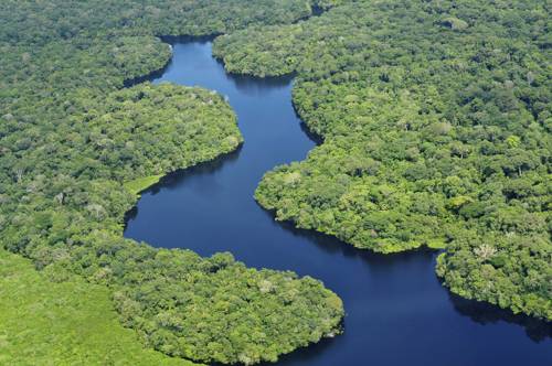 чудеса природы - амазонские дождевые леса