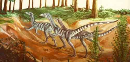 chindesaurus