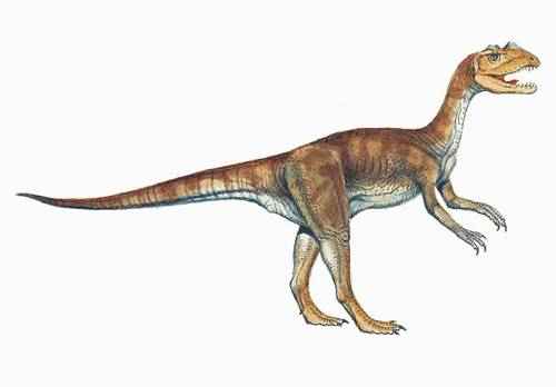 sarcosaurus