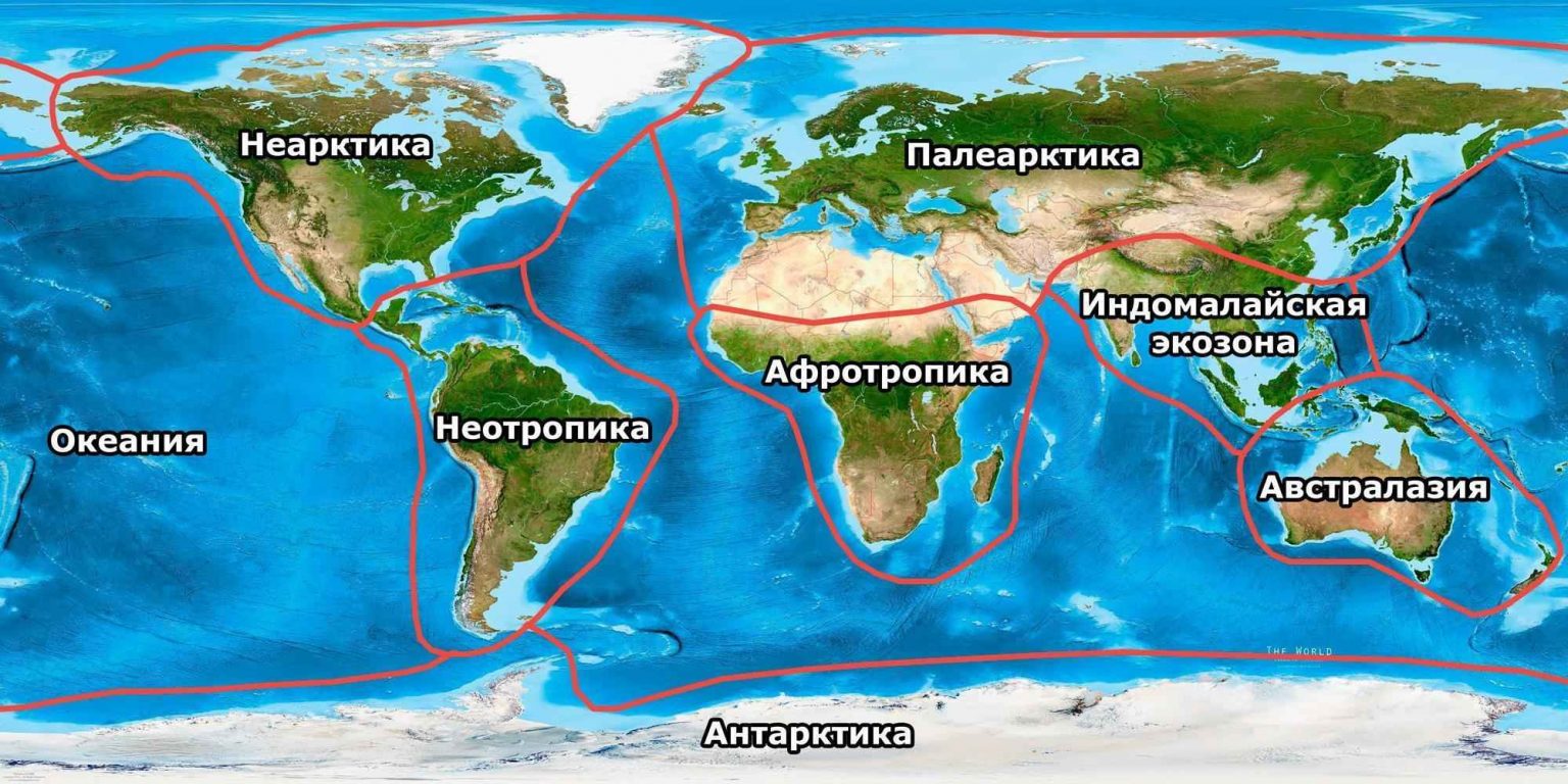 Карта биогеографических зон