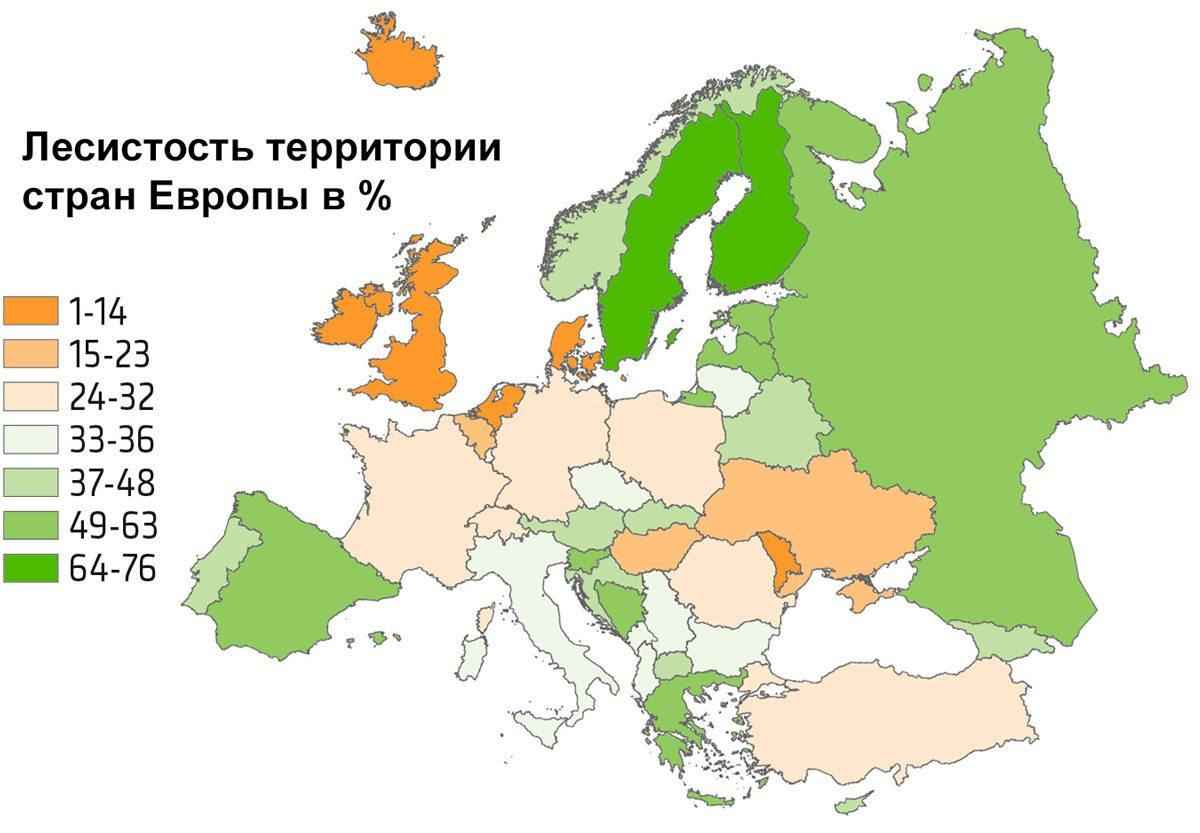 Леса зарубежной европы