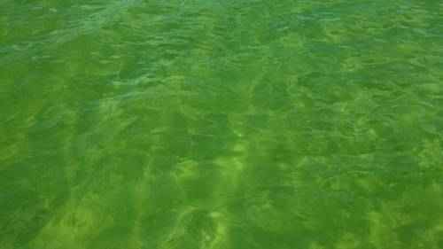 какое море имеет зеленый цвет