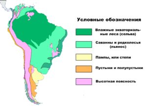 Укажите стрелками на полушарии где размещены представленные на рисунке природные зоны