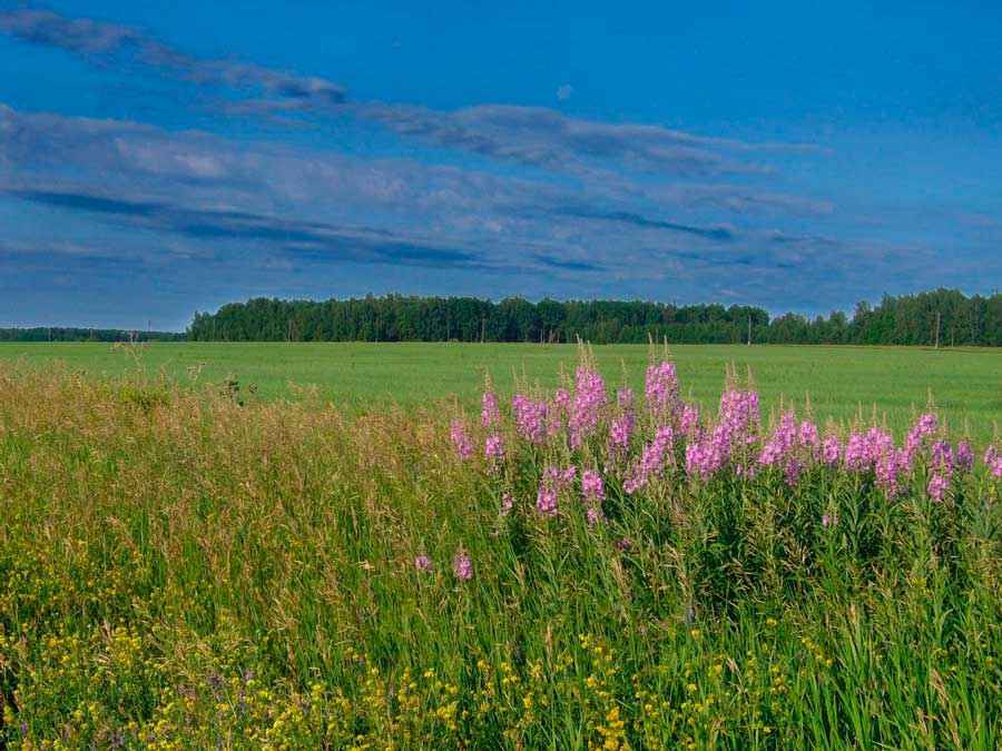 Природа Свердловской Области Фото