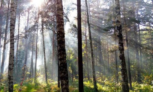 Водопады в новосибирской области названия и фото