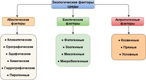 Экологические факторы среды 5 класс биология презентация