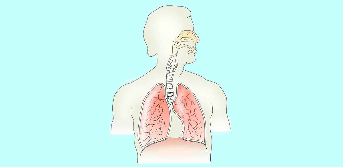 Доклад: Чем мы дышим