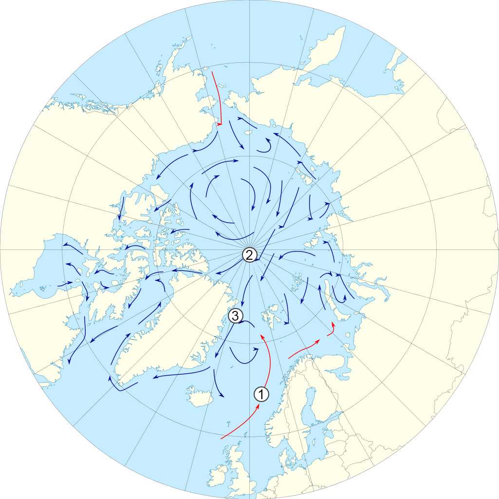 Океанические течения северного ледовитого океана. Течения Северного Ледовитого океана на карте. Течения Северного Ледовитого океана. Течения Северного Ледовитого океана теплые и холодные на карте. Северный Ледовитый океан на карте.