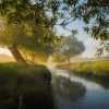 природа, река, ручей, вода, утро, туман, деревья, трава, зелень